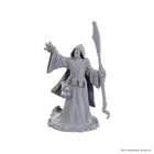 Gamers Guild AZ WizKids Dungeons And Dragons Nolzur'S Marvelous Miniatures: W25 Star Spawn Larva Mage (Pre-Order) GTS