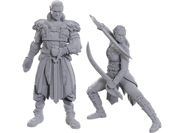 Gamers Guild AZ WizKids Dungeons & Dragons: Nolzur's Marvelous Unpainted Miniatures - Special BG3 Edition: Jaheira & Halsin (Pre-Order) AGD