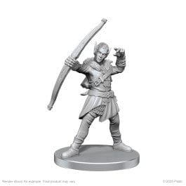 Gamers Guild AZ WizKids Pathfinder Battles Deep Cuts: Elf Hunter & Catfolk Bandit Miniature (Pre-Order) Southern Hobby