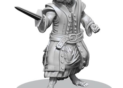 Gamers Guild AZ WizKids Pathfinder Battles Deep Cuts: Procyal/Raccoon Agathion & Zoaem/Ring Archon Miniatures (Pre-Order) AGD