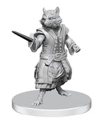 Gamers Guild AZ WizKids Pathfinder Battles Deep Cuts: Procyal/Raccoon Agathion & Zoaem/Ring Archon Miniatures (Pre-Order) AGD