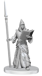 Gamers Guild AZ WizKids Pathfinder Battles Deep Cuts: Vloriak/Despoiler Demon & Demonologist (Pre-Order) AGD