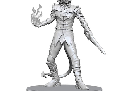 Gamers Guild AZ WizKids Pathfinder Battles Deep Cuts: Vordine/Infantry Devil & Pitborn Rogue Miniatures (Pre-Order) AGD