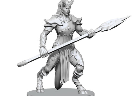 Gamers Guild AZ WizKids Pathfinder Battles Deep Cuts: Vordine/Infantry Devil & Pitborn Rogue Miniatures (Pre-Order) AGD