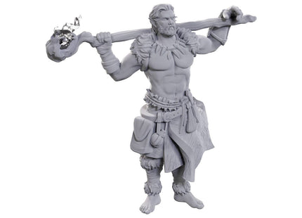 Gamers Guild AZ WizKids WZK90695 D&D Nolzur's Marvelous Miniatures: Archdruid & Martial Arts Adept (Pre-Order) AGD