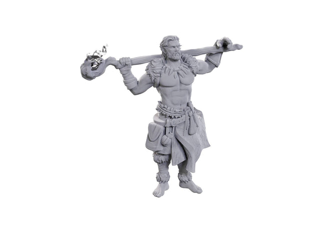 Gamers Guild AZ WizKids WZK90695 D&D Nolzur's Marvelous Miniatures: Archdruid & Martial Arts Adept (Pre-Order) AGD