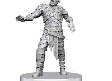Gamers Guild AZ WizKids WZK90855 Dungeons & Dragons: Nolzur's Marvelous Miniatures - Swarm of Rot Grubs & Rot Grub Victim (Pre-Order) ACD Distribution