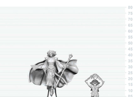 Gamers Guild AZ WizKids WZK90889 D&D Nolzur's Marvelous Miniatures: Gnome Warlock & Aasimar Wizard (Pre-Order) Southern Hobby