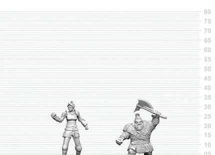 Gamers Guild AZ WizKids WZK90891 D&D Nolzur's Marvelous Miniatures: Cultist of Bane & Dwarf Zhentilar Soldier (Pre-Order) Southern Hobby