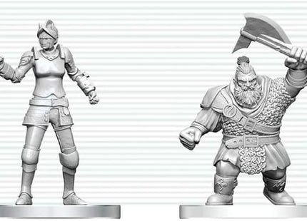Gamers Guild AZ WizKids WZK90891 D&D Nolzur's Marvelous Miniatures: Cultist of Bane & Dwarf Zhentilar Soldier (Pre-Order) Southern Hobby