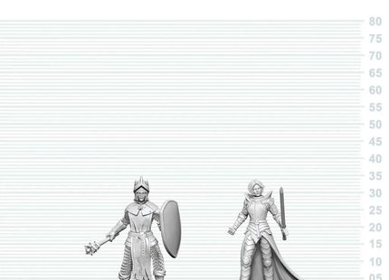 Gamers Guild AZ WizKids WZK90892 D&D Nolzur's Marvelous Miniatures: Black Gauntlet & Zhentilar Paladin of Bane (Pre-Order) Southern Hobby