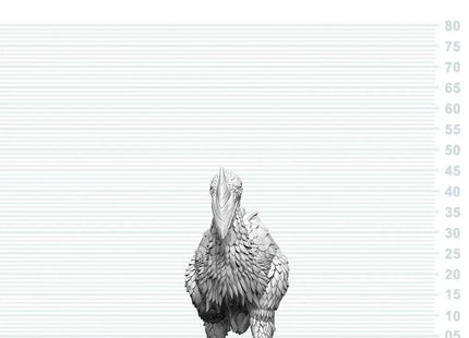 Gamers Guild AZ WizKids WZK90895 D&D Nolzur's Marvelous Miniatures: Axe Beak (Pre-Order) Southern Hobby