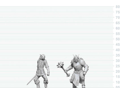 Gamers Guild AZ WizKids WZK90908: D&D Nolzur's Marvelous Unpainted Miniatures - Dragonborn Paladin & Dragonborn Squire (Pre-Order) AGD
